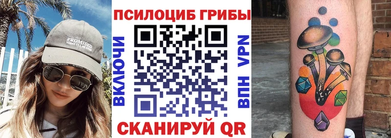 Купить  Новокубанск  Галлюциногенные грибы GOLDEN TEACHER 